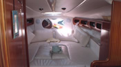 Amalfi fly