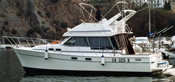 Bayliner 3288