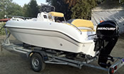 Bellingardo 565