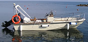 Montauk boston whaler 190
