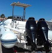 Airon marine 36 dart