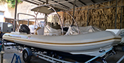 Atlantis 39 gobbi