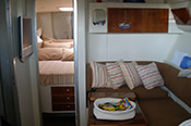 Fiart 35
