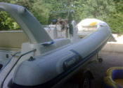 Marlin 19 