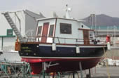 Pilotina protto