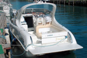 Salpa 21.5
