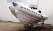 Stingher 800 gt